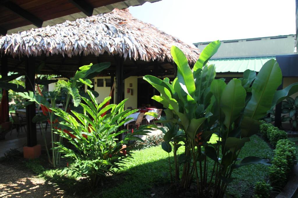 Hotel Amazon Bed And Breakfast Летисия Экстерьер фото
