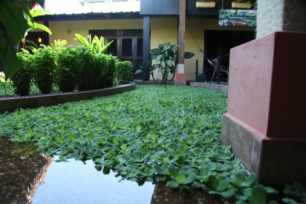 Hotel Amazon Bed And Breakfast Летисия Экстерьер фото
