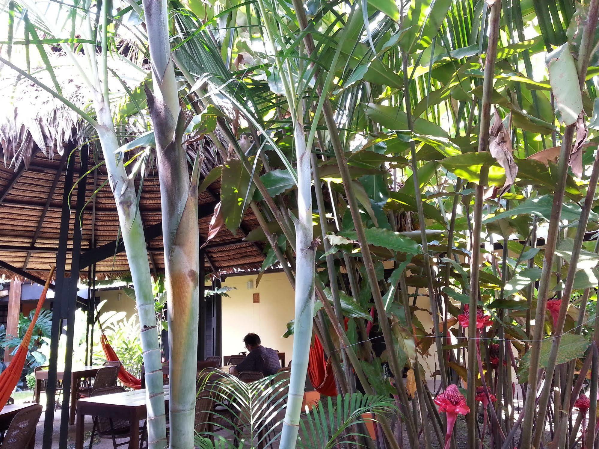 Hotel Amazon Bed And Breakfast Летисия Экстерьер фото